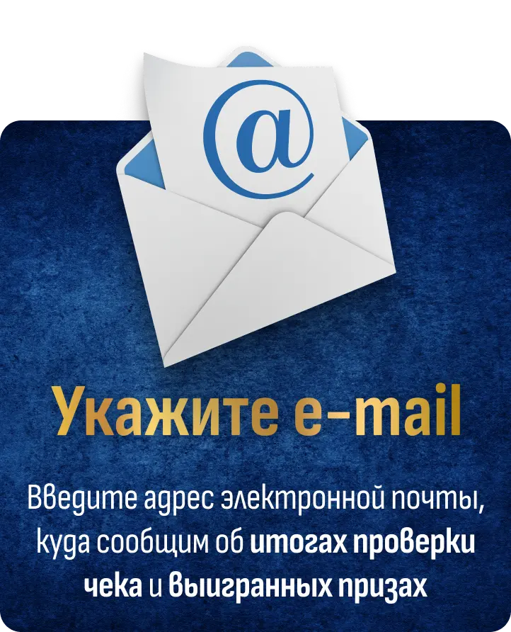 Введите адрес электронной почты, куда сообщим об итогах проверки чека и выигранных призах